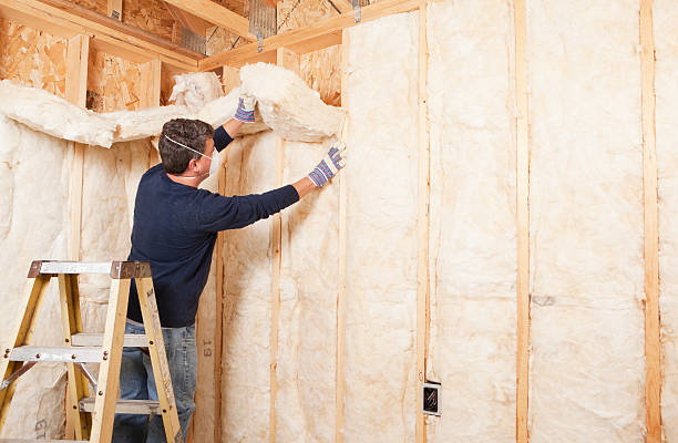 Best Garage Insulation  in Chicago Heights, IL